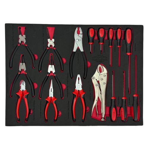 PDE  Pliers and Screwdrivers Set in EVA Foam Tray 17PCE