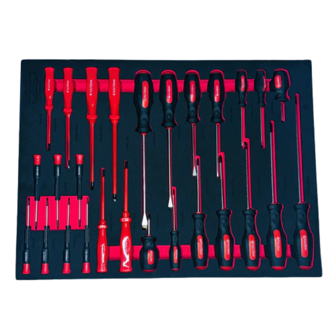 PDE Screwdriver Set in EVA Foam Tray 27PCE